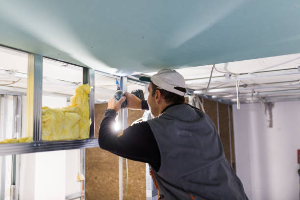 Best Cellulose Insulation in Waretown, NJ